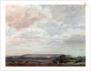 View in Wiltshire by John Constable