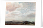 View in Wiltshire by John Constable