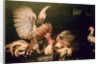 Fighting Cocks by Frans Snyders or Snijders