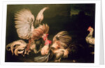 Fighting Cocks by Frans Snyders or Snijders