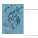 Midnight Garden I, 2015 by Stephen Dow