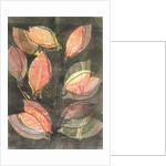 Midnight Garden V, 2015 by Stephen Dow