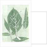 Gone IX, 2015 by Stephen Dow