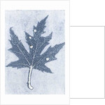 Gone II, 2015 by Stephen Dow