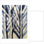 Tree II, 2016 by Stephen Dow