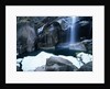 Yosemite, 2013 by Carli Choi