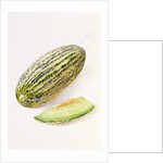 The Damsha Marrow by William Hooker