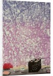 Spring lunch box, 2010 by Emiko Aida