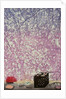Spring lunch box, 2010 by Emiko Aida