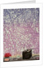 Spring lunch box, 2010 by Emiko Aida