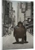 Tamed Kong, 2007 by Emiko Aida