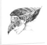 Venetian carnival, Arlecchino, 2012 by Runa Anastasiya Rudaya