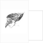 Venetian carnival, Arlecchino, 2012 by Runa Anastasiya Rudaya