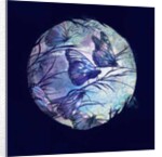 Summer night, 2016 by Runa Anastasiya Rudaya