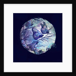 Summer night, 2016 by Runa Anastasiya Rudaya