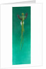 Quetzal by Tim Hayward