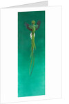 Quetzal by Tim Hayward