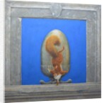 Red Squirrel, L'acrobata by Tim Hayward