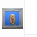 Red Squirrel, L'acrobata by Tim Hayward