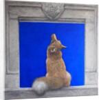 The Fox & Grapes by Tim Hayward