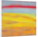 Summer fields, 2015 by Alex Caminker