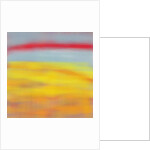 Summer fields, 2015 by Alex Caminker