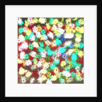 Garden, 2015 by Alex Caminker