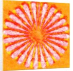 Flower, 2015 by Alex Caminker