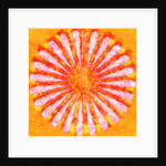 Flower, 2015 by Alex Caminker