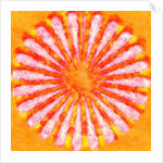 Flower, 2015 by Alex Caminker