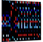 Untitled, 2017 by Alex Caminker