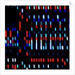 Untitled, 2017 by Alex Caminker