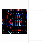 Untitled, 2017 by Alex Caminker