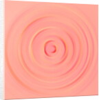 One of the states of water, 2017 by Alex Caminker