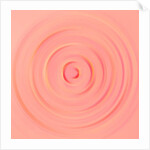 One of the states of water, 2017 by Alex Caminker