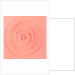 One of the states of water, 2017 by Alex Caminker