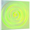 Colored washable water, 2017 by Alex Caminker