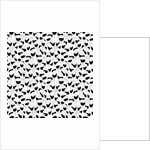 Illusionof volume, 2017 by Alex Caminker