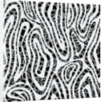 Alternative vision, 2017 by Alex Caminker