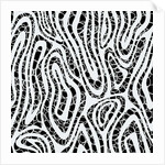 Alternative vision, 2017 by Alex Caminker