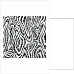 Alternative vision, 2017 by Alex Caminker