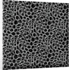 Infinite, 2017 by Alex Caminker