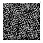 Infinite, 2017 by Alex Caminker