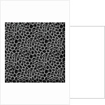 Infinite, 2017 by Alex Caminker