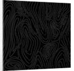 Tree rings, 2017 by Alex Caminker