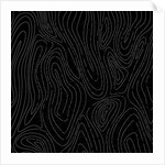 Tree rings, 2017 by Alex Caminker