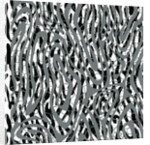 Parallel and simultaneously, 2017 by Alex Caminker