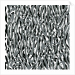 Parallel and simultaneously, 2017 by Alex Caminker