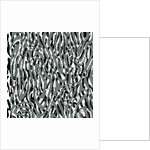 Parallel and simultaneously, 2017 by Alex Caminker