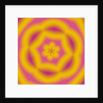 Flowers #1, 2019 by Alex Caminker